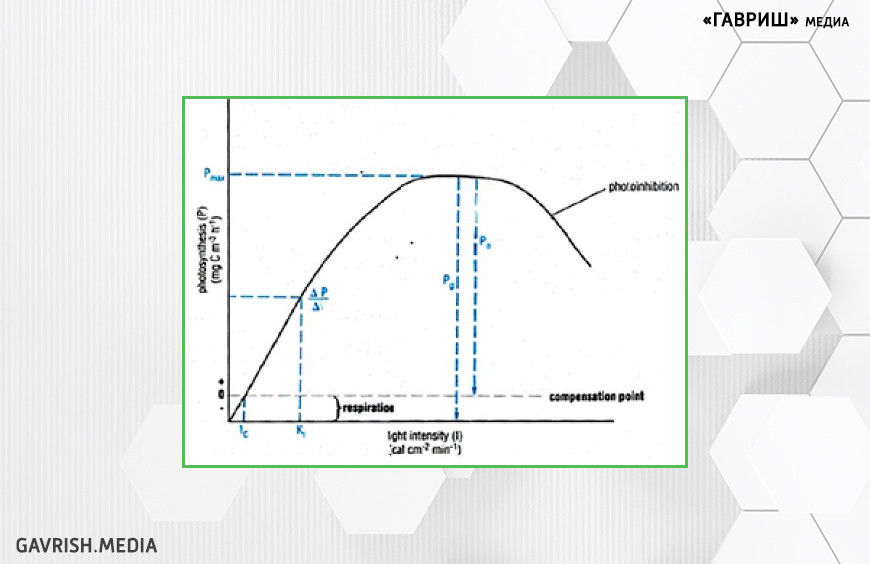 Рис. 1. Кривая светового насыщения фотосинтеза