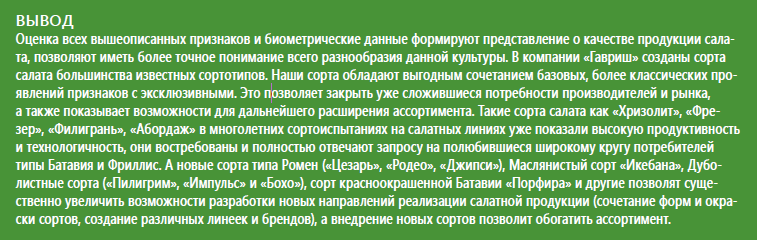 Салатный микс