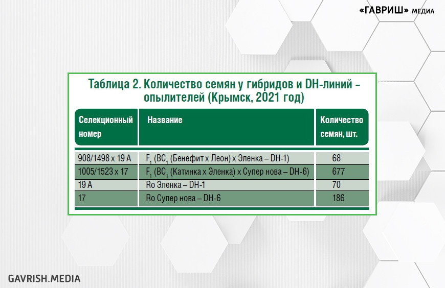 Таблица 2. Количество семян у гибридов и DH-линий -опылителей (Крымск, 2021 год)