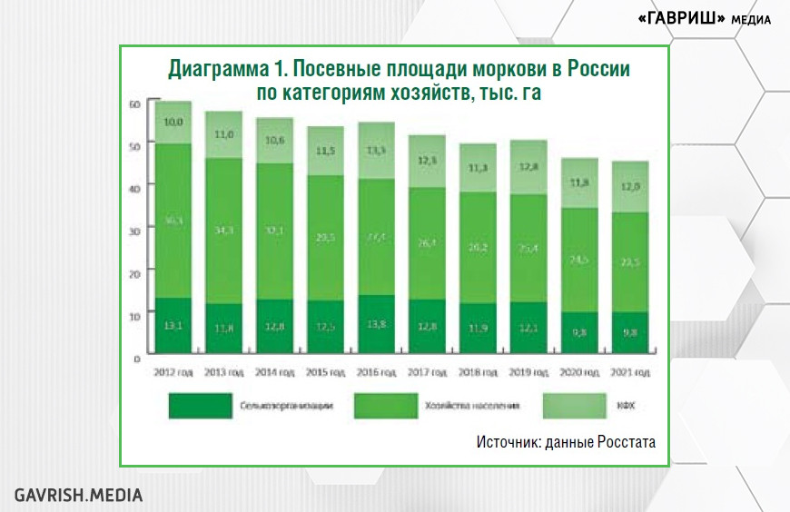 Рынок моркови и продуктов переработки в России: состояние и перспективы развития