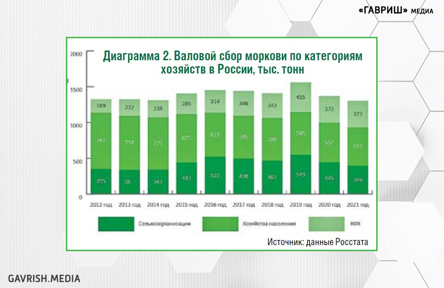 Рынок моркови и продуктов переработки в России: состояние и перспективы развития