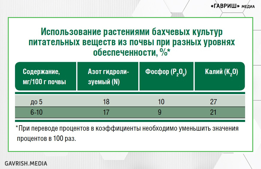 Как кормить бахчевые?