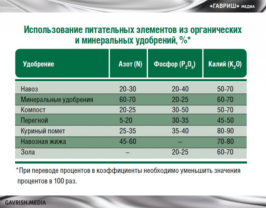 Как кормить бахчевые?