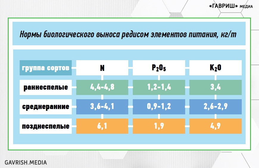 Некоторые хитрости при выращивании редиса