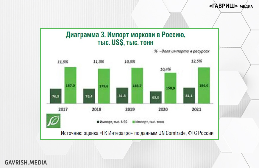 Рынок моркови и продуктов переработки в России: состояние и перспективы развития