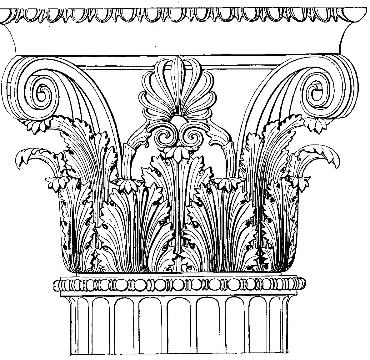 3. Листья аканта на капителии колонны