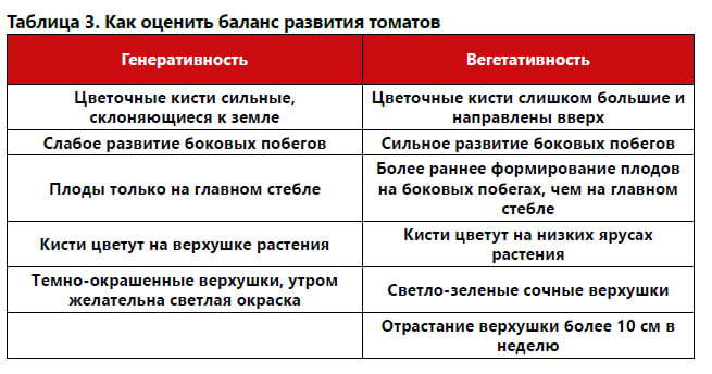 О проблемах томатов в период образования соцветий и в начале плодоношения