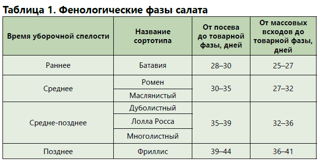 Салатный микс