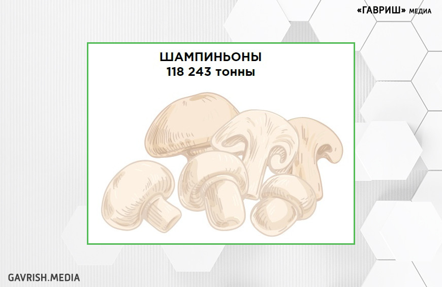 Российские грибоводы выходят на мировой рынок