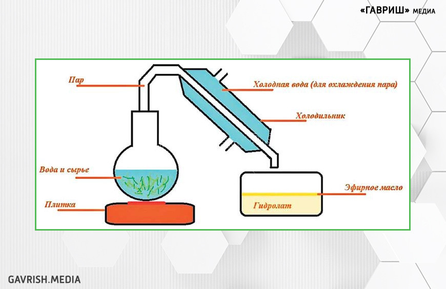 Перегонка эфирномасличного сырья с водяным паром