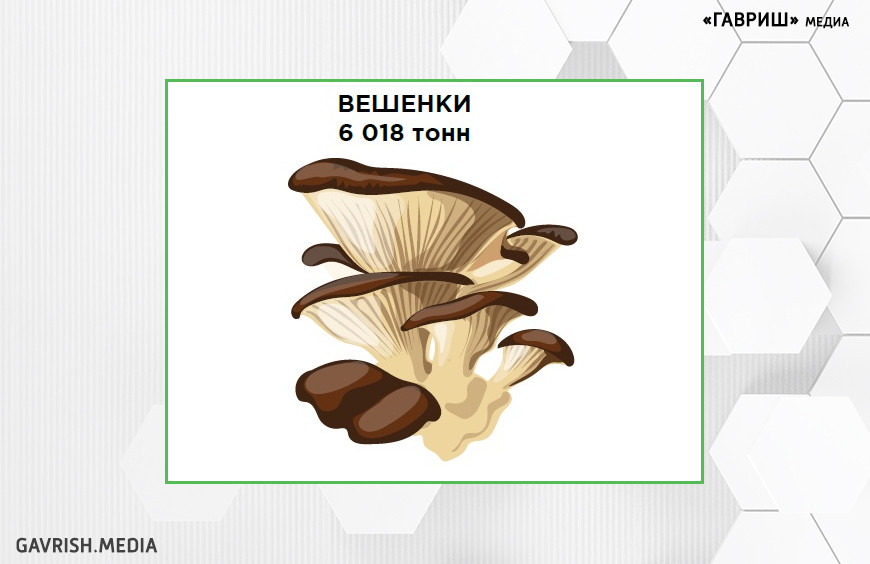Российские грибоводы выходят на мировой рынок