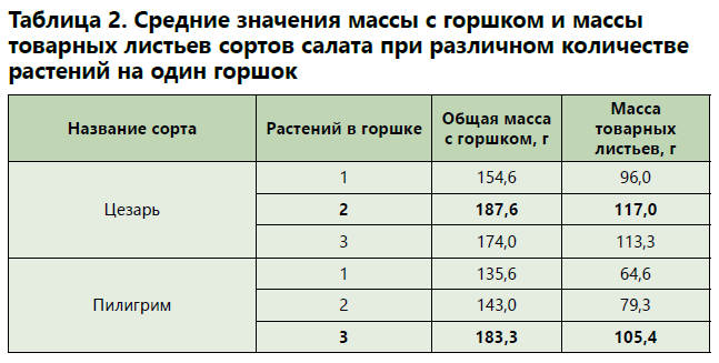 Салатный микс