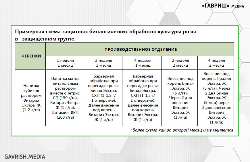 Миллионы роз. Биологическая защита декоративной культуры