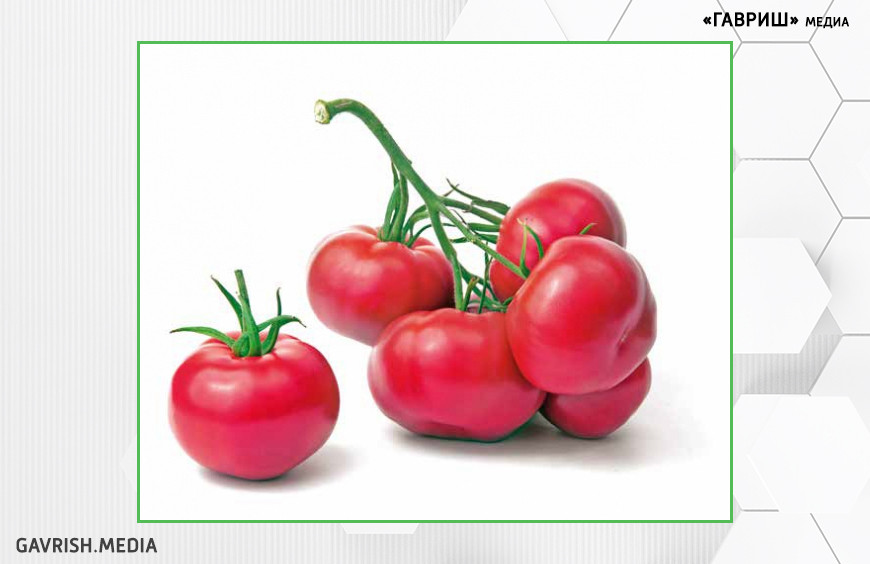 Сравнительная оценка перспективных кистевых гибридов F1 томата с красной и розовой окраской плода