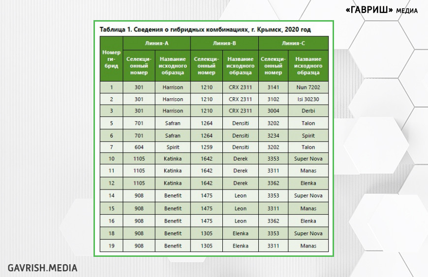 Таблица 1. Сведения о гибридных комбинациях, г. Крымск, 2020 год