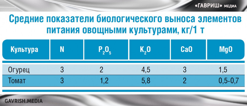 Минеральное питание томата и огурца в плёночных теплицах