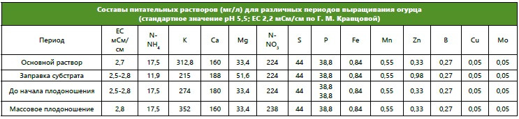 Период формирования главного побега. Поливы, питание