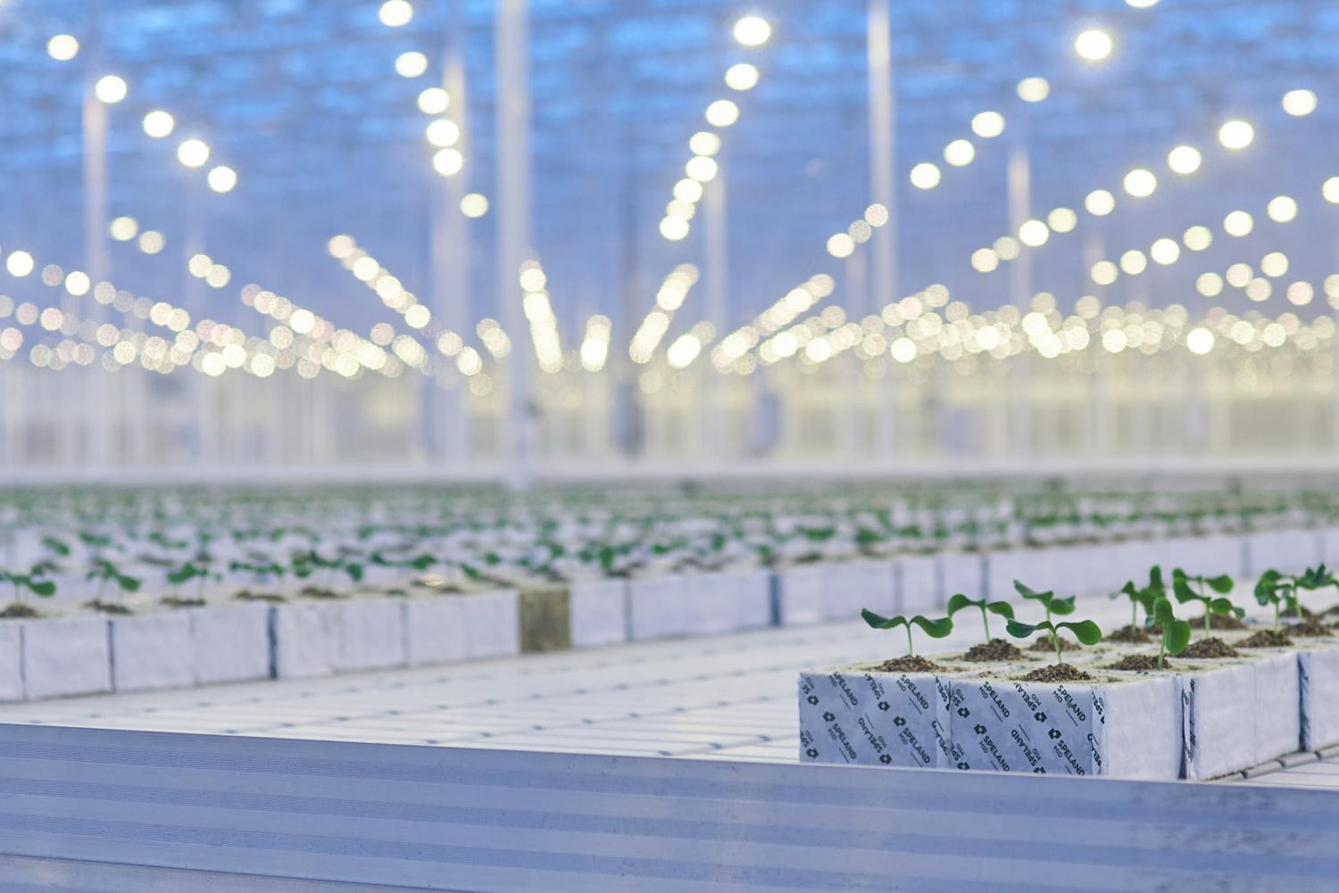 Люминесцентные солнечные концентраторы