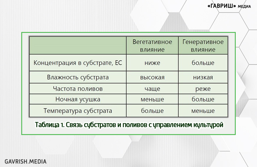 Регистрация томата