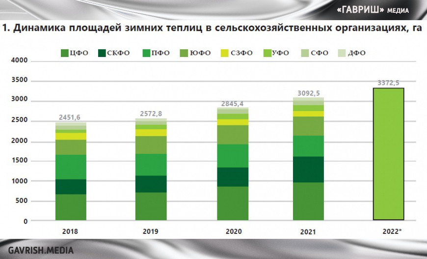 Итоги – 2022: овощи защищенного грунта