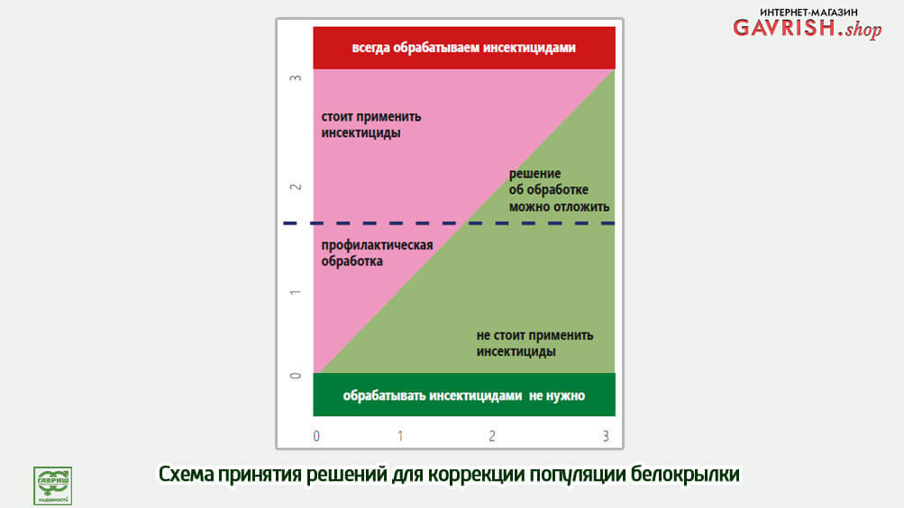 Опыт применения Макролофуса