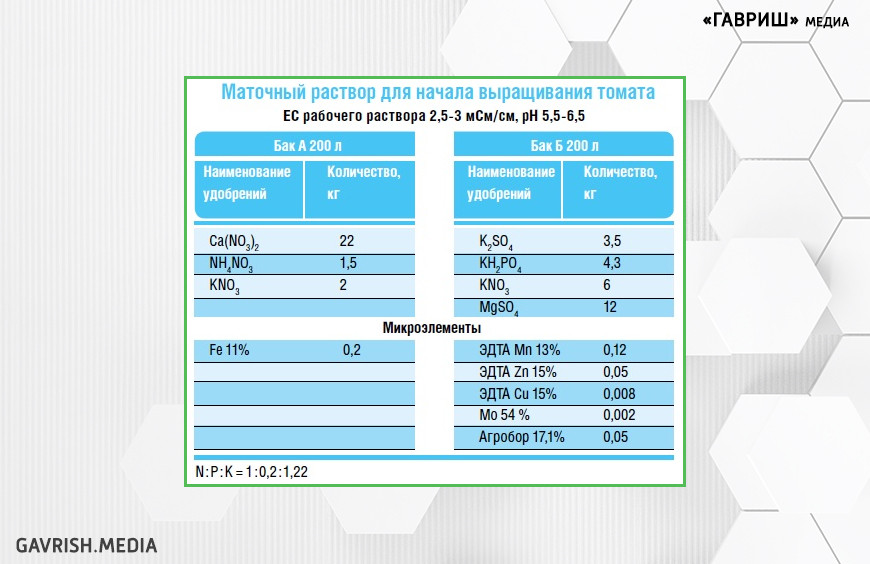 Маточный раствор для начала выращивания томата