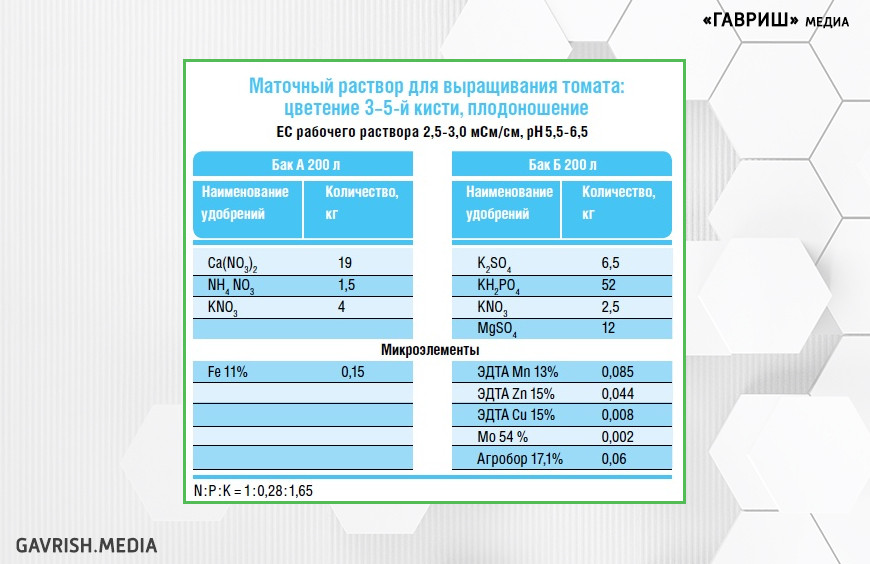 Маточный раствор для выращивания томата: цветение 3-5-й кисти, плодоношение