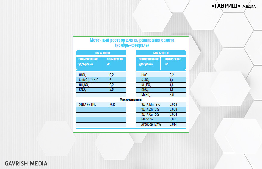 Маточный раствор для выращивания салата (ноябрь-февраль)