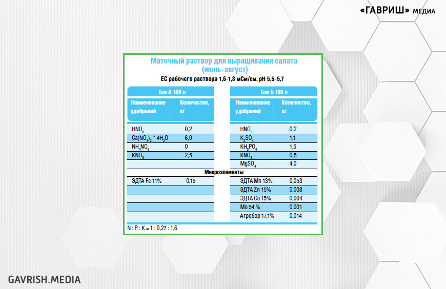 Маточный раствор для выращивания салата (июнь-август)