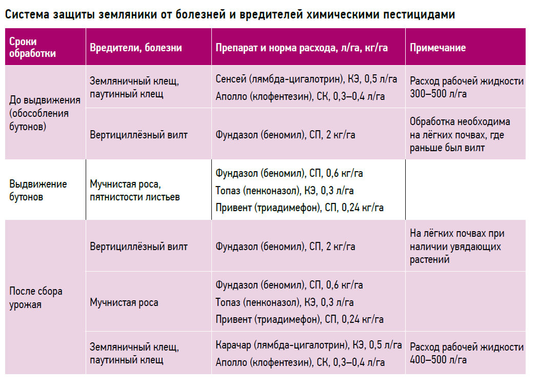 Вредители земляники садовой