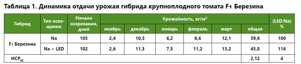 Влияние гибридного досвечивания на урожайность томатов в РФ