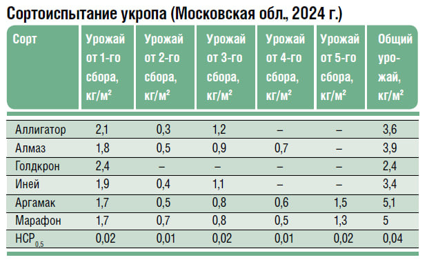 Разнообразие укропа селекции компании «Гавриш»