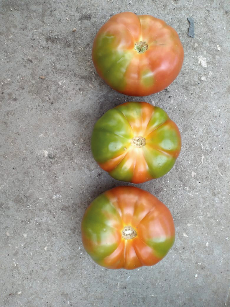 Дефицит азота