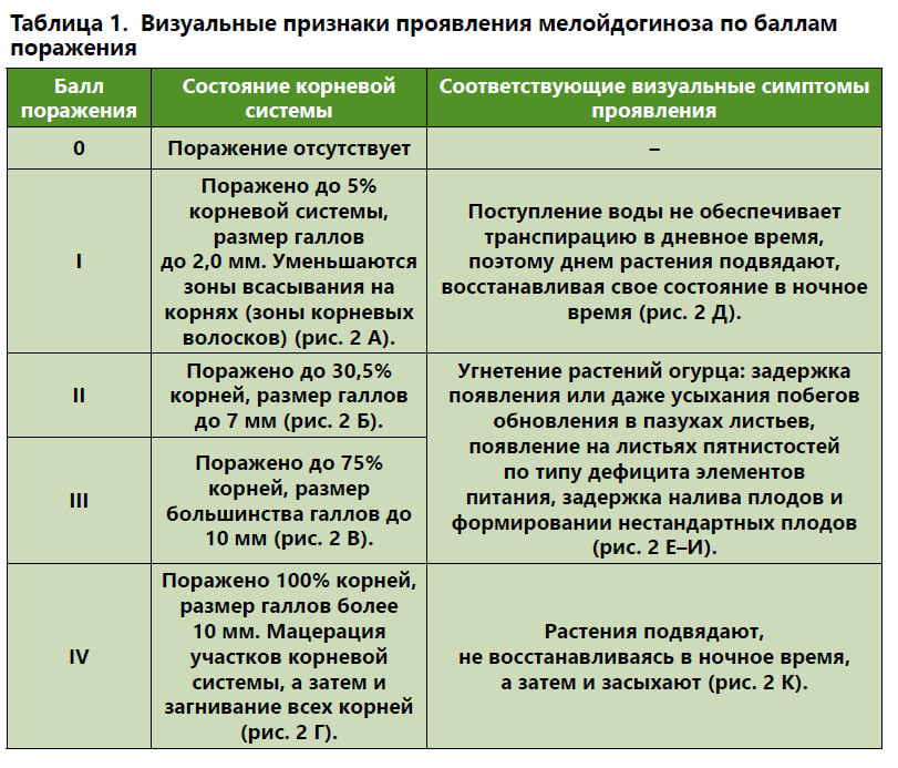 Галла, у нас отмена!
