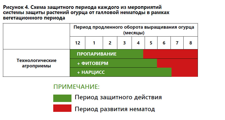 Галла, у нас отмена!
