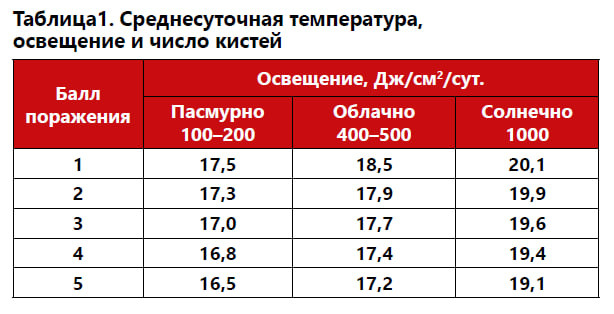 О проблемах томатов в период образования соцветий и в начале плодоношения