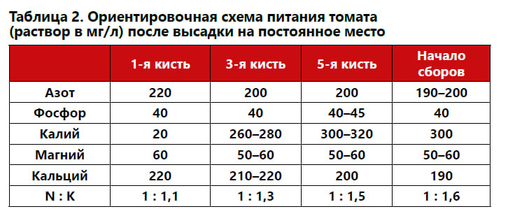 О проблемах томатов в период образования соцветий и в начале плодоношения