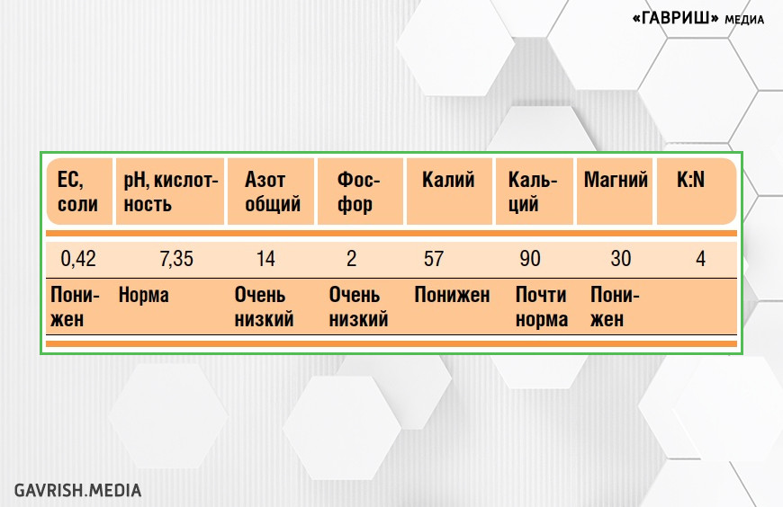 И на большие умы бывает промашка