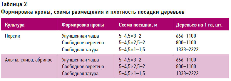 Универсальный клоновый подвой для интенсивных насаждений косточковых культур