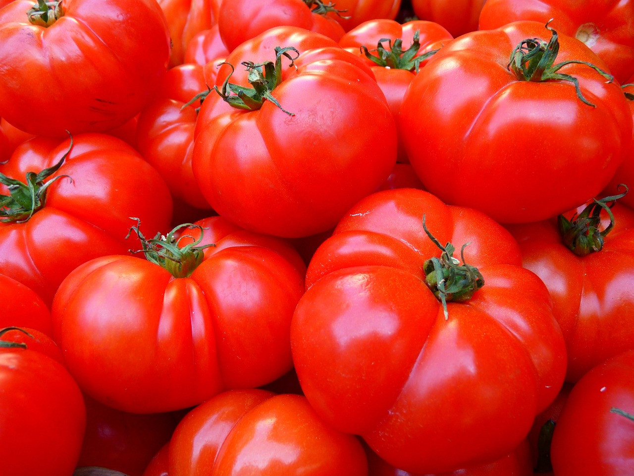 44 тысячи тонн томатов собрано в Липецкой области
